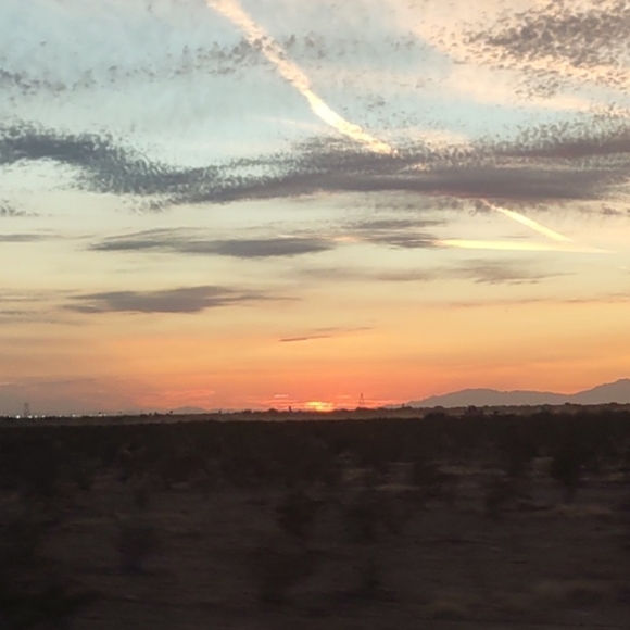 Meet your Posher, Avery - Picture 1 of 1